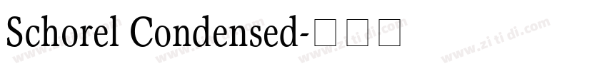 Schorel Condensed字体转换